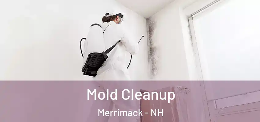  Mold Cleanup Merrimack - NH