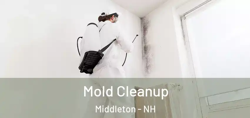 Mold Cleanup Middleton - NH