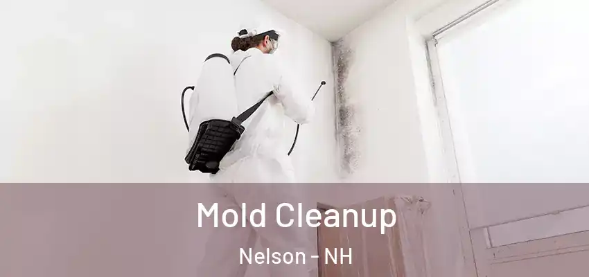  Mold Cleanup Nelson - NH