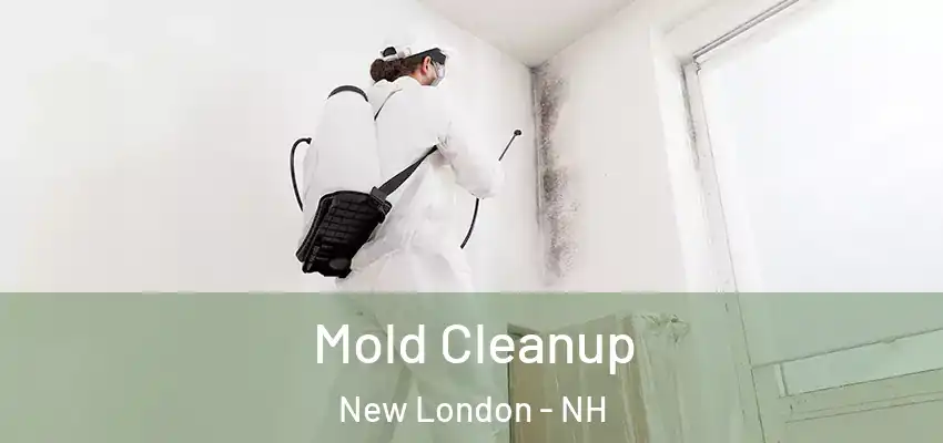  Mold Cleanup New London - NH