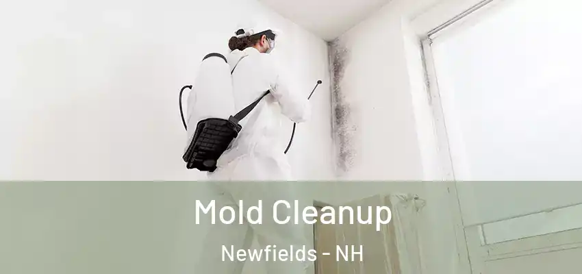  Mold Cleanup Newfields - NH