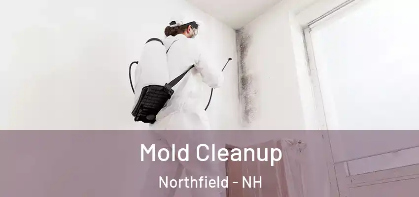  Mold Cleanup Northfield - NH