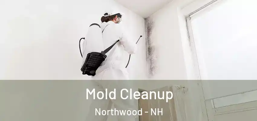 Mold Cleanup Northwood - NH