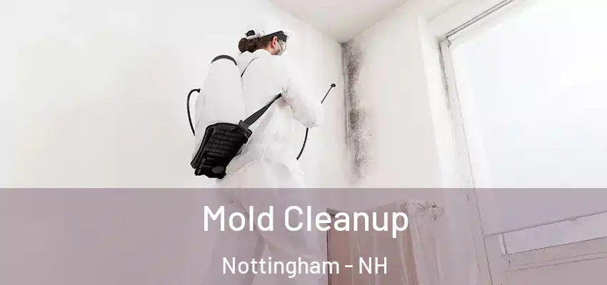  Mold Cleanup Nottingham - NH