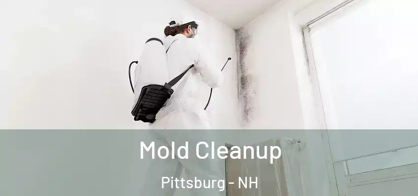 Mold Cleanup Pittsburg - NH