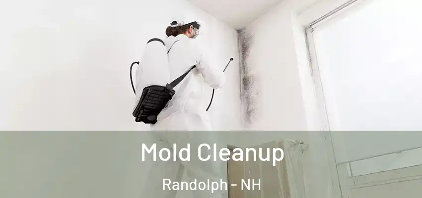 Mold Cleanup Randolph - NH