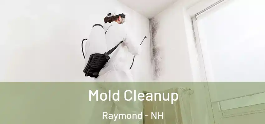  Mold Cleanup Raymond - NH