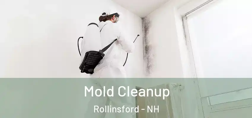  Mold Cleanup Rollinsford - NH