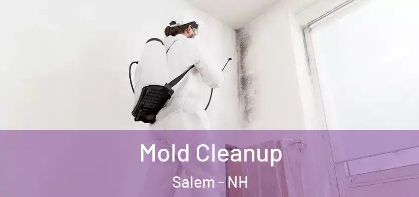  Mold Cleanup Salem - NH