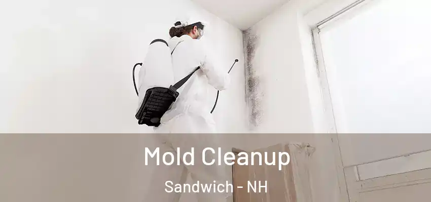 Mold Cleanup Sandwich - NH
