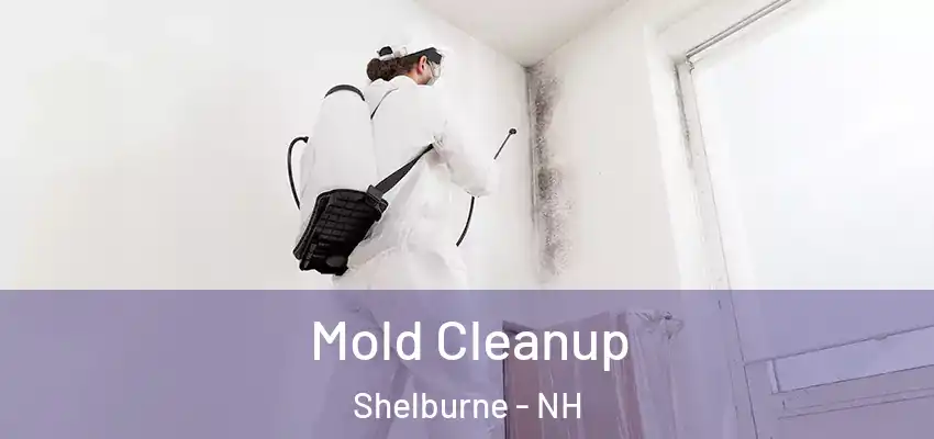 Mold Cleanup Shelburne - NH