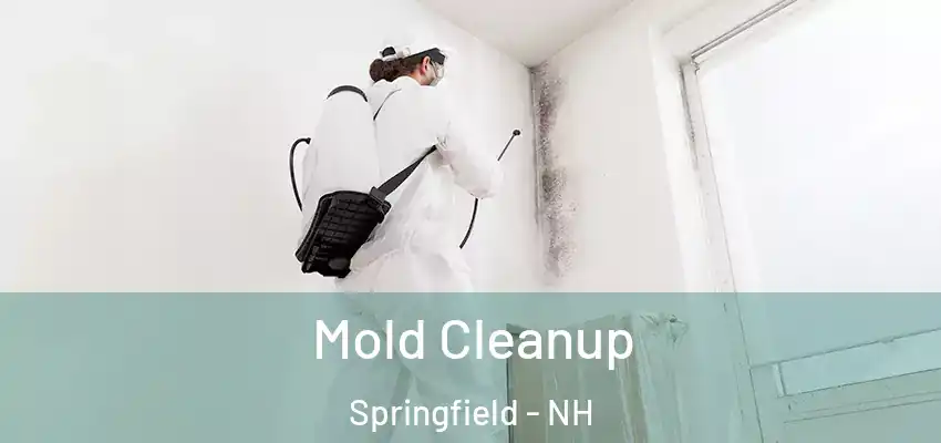  Mold Cleanup Springfield - NH