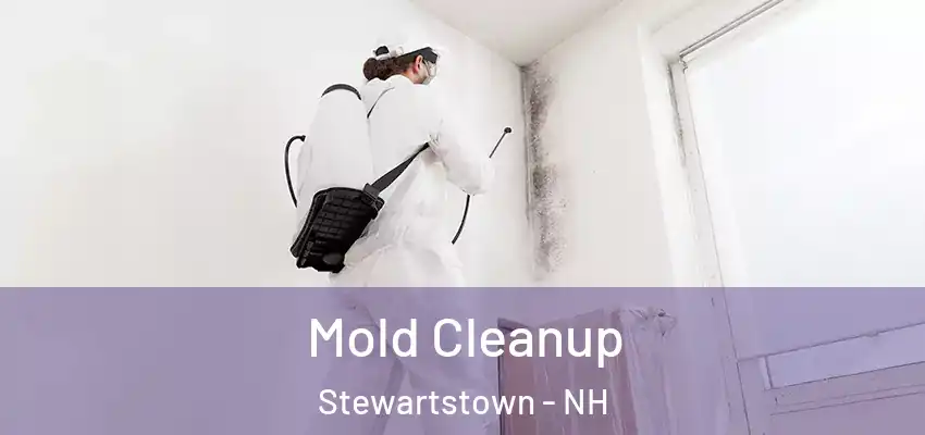 Mold Cleanup Stewartstown - NH