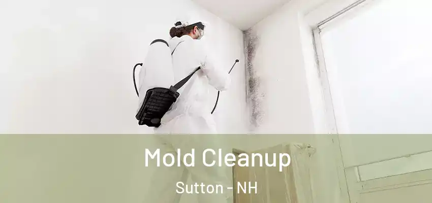  Mold Cleanup Sutton - NH