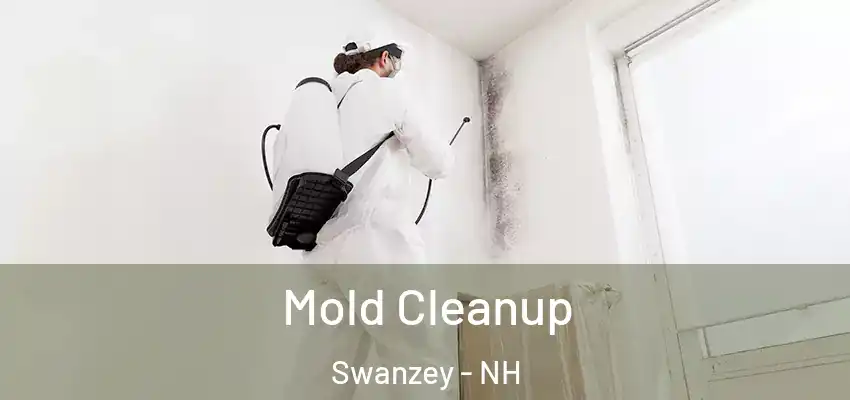  Mold Cleanup Swanzey - NH