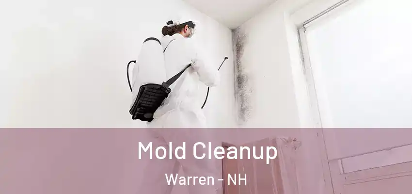 Mold Cleanup Warren - NH