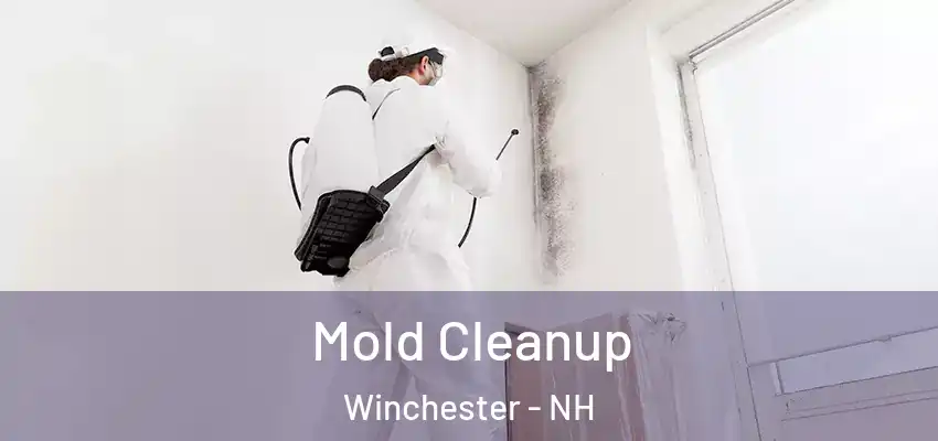  Mold Cleanup Winchester - NH