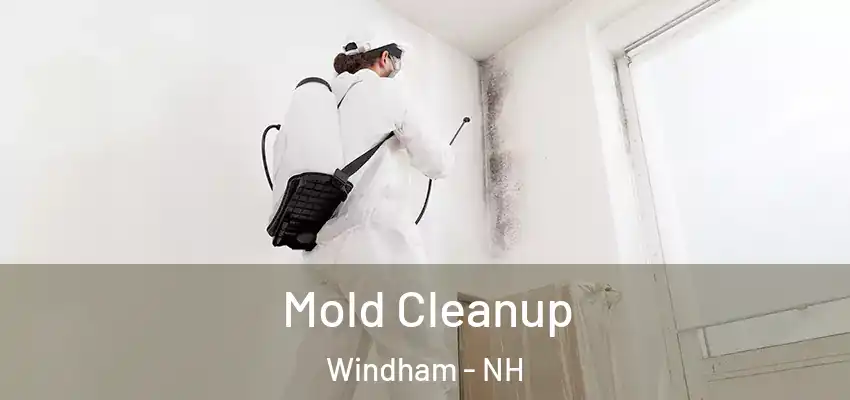  Mold Cleanup Windham - NH