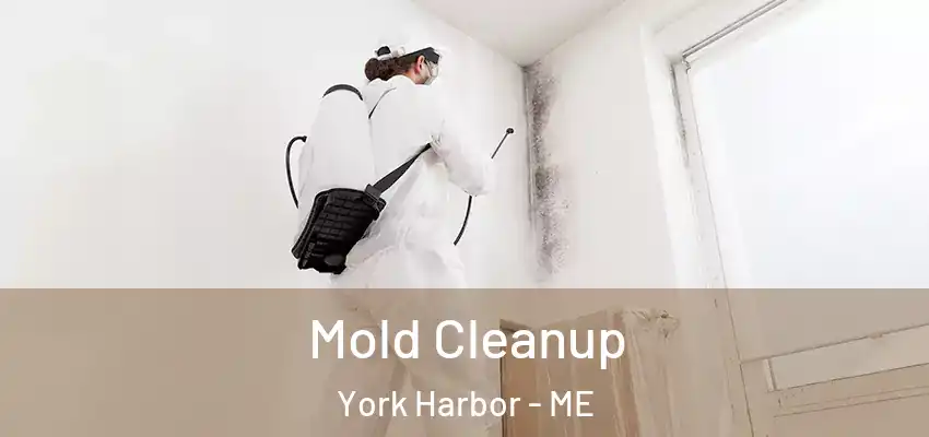 Mold Cleanup York Harbor - ME