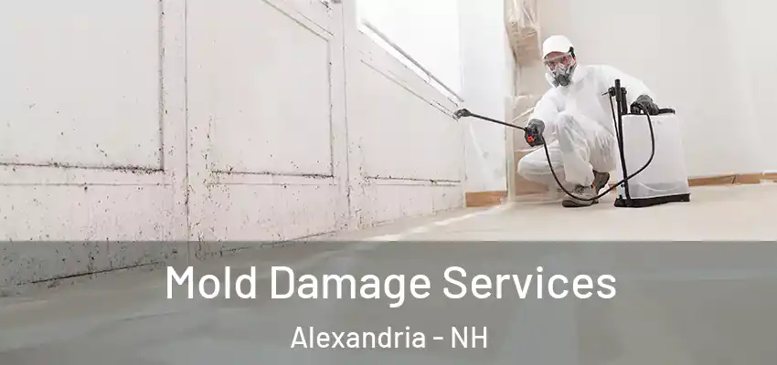 Mold Damage Services Alexandria - NH