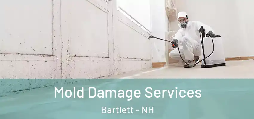  Mold Damage Services Bartlett - NH