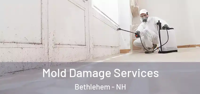  Mold Damage Services Bethlehem - NH