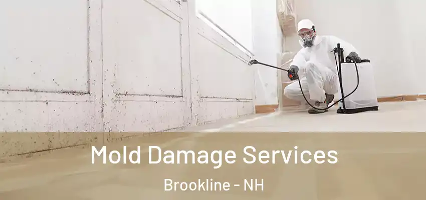  Mold Damage Services Brookline - NH