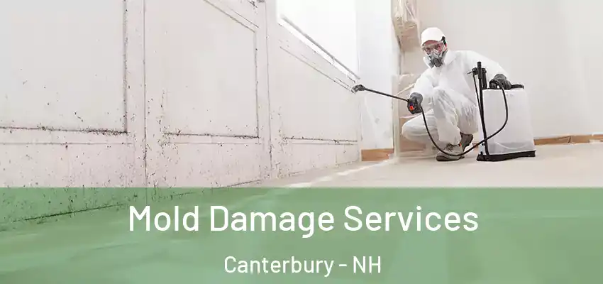  Mold Damage Services Canterbury - NH