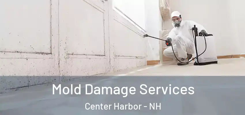 Mold Damage Services Center Harbor - NH
