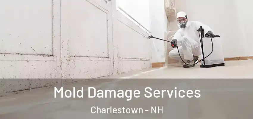  Mold Damage Services Charlestown - NH