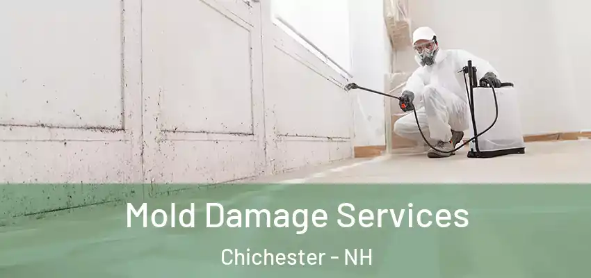  Mold Damage Services Chichester - NH