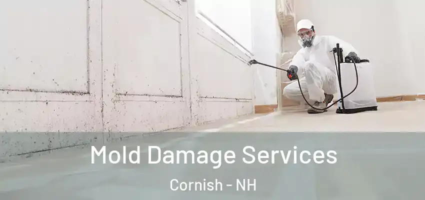  Mold Damage Services Cornish - NH