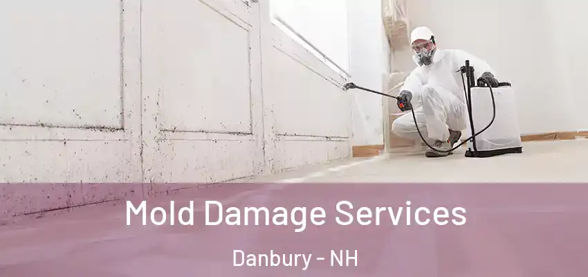 Mold Damage Services Danbury - NH