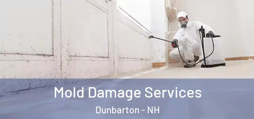  Mold Damage Services Dunbarton - NH