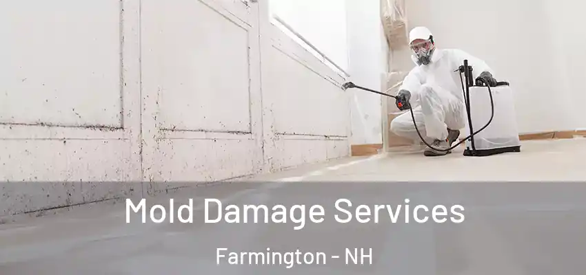  Mold Damage Services Farmington - NH