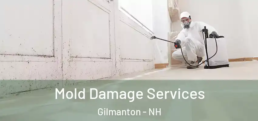  Mold Damage Services Gilmanton - NH
