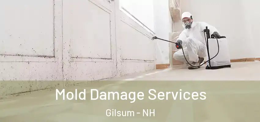  Mold Damage Services Gilsum - NH