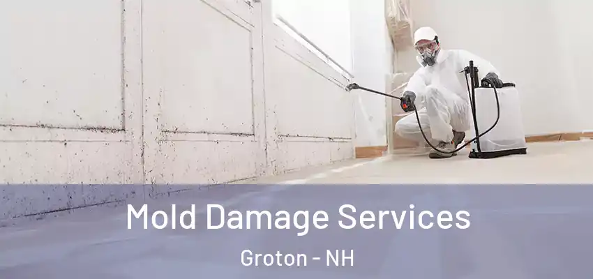 Mold Damage Services Groton - NH