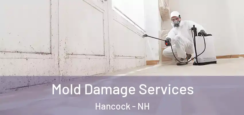  Mold Damage Services Hancock - NH