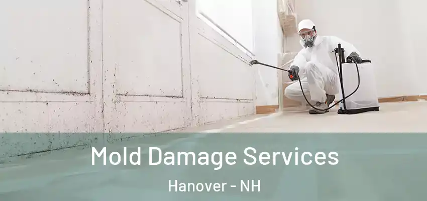  Mold Damage Services Hanover - NH