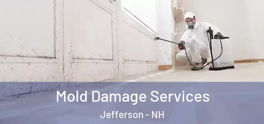 Mold Damage Services Jefferson - NH