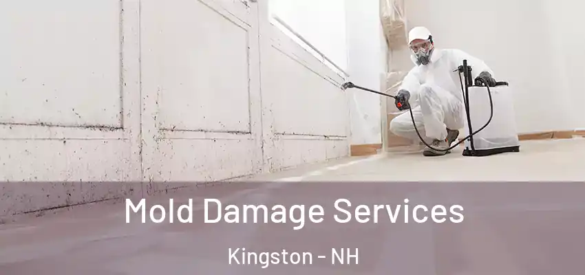  Mold Damage Services Kingston - NH