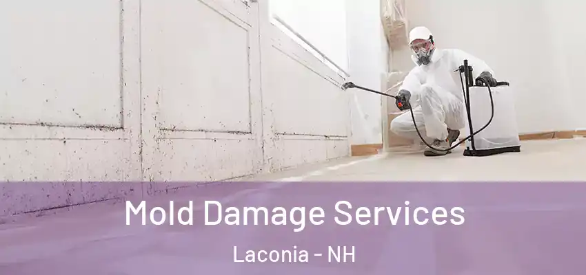 Mold Damage Services Laconia - NH