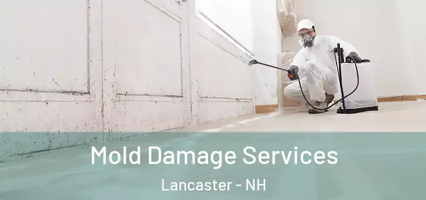  Mold Damage Services Lancaster - NH