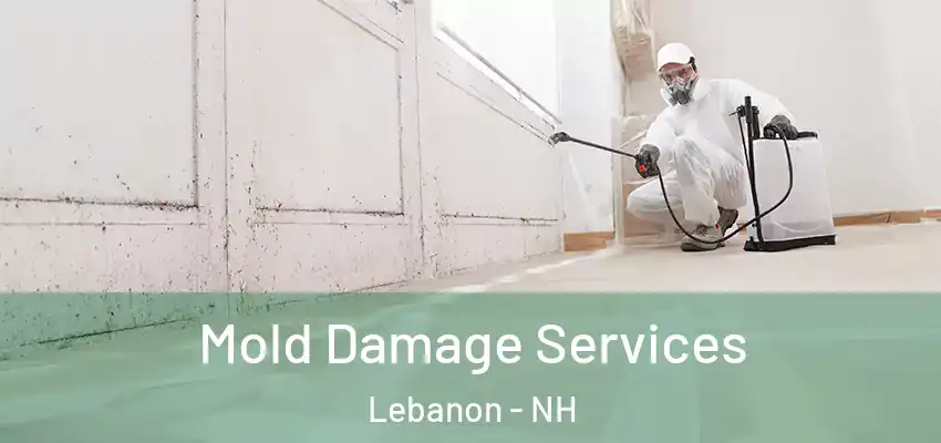  Mold Damage Services Lebanon - NH