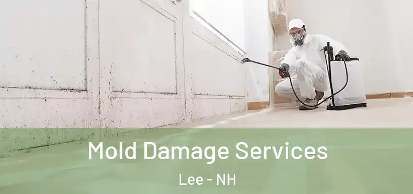  Mold Damage Services Lee - NH