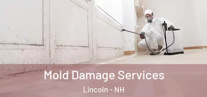 Mold Damage Services Lincoln - NH