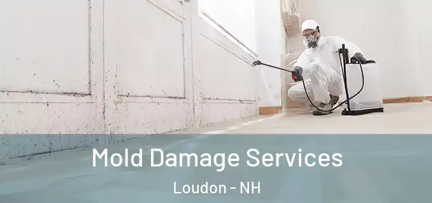  Mold Damage Services Loudon - NH