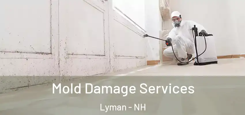  Mold Damage Services Lyman - NH