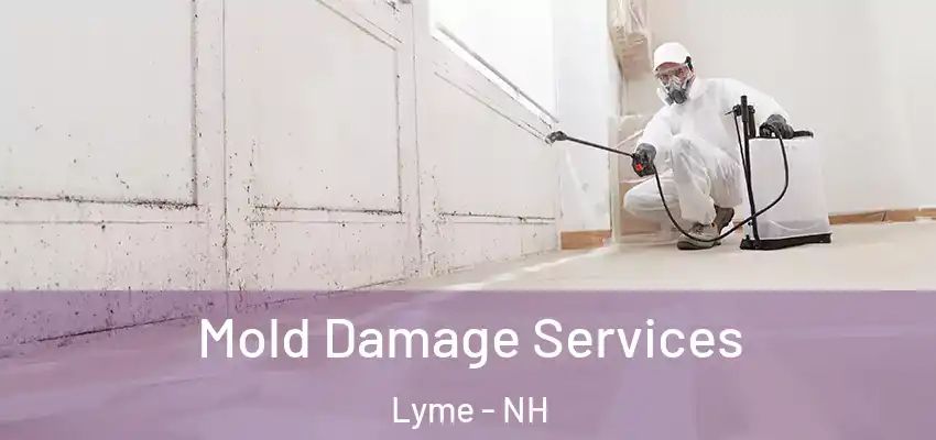 Mold Damage Services Lyme - NH